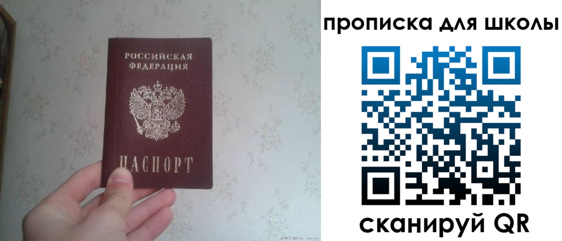 прописка в квартире в Находке